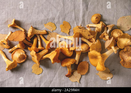 Forest finferli, materie non cotte, giallo con foglie di autunno su lino grigio tovaglia come sfondo. Laici piana, spazio Foto Stock