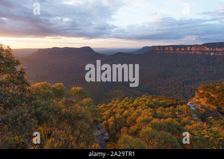 Kings altopiano nel Parco Nazionale Blue Mountains, Nuovo Galles del Sud, Australia Foto Stock