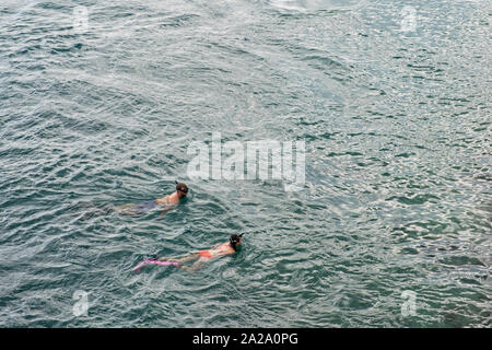 Un giovane boccagli in Indian River sotto la South Beach Ponte a Giove in ingresso Jupiter, Florida. Foto Stock