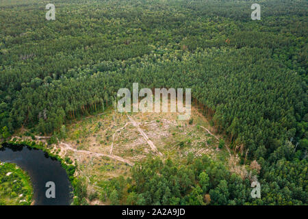 Vista aerea foresta verde area di disboscamento paesaggio. Vista superiore della splendida natura europea da alto atteggiamento nella stagione estiva. Vista Drone. Bird's E Foto Stock