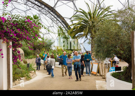 All'interno di Progetto Eden in Cornovaglia con le famiglie e i visitatori a piedi attraverso il Mediterraneo presentano biome Foto Stock