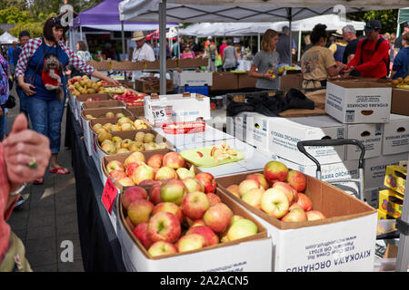 La gente che acquista prodotti locali freschi al mercato agricolo di sabato in lago Oswego, Oregon, il 14 settembre 2019. Foto Stock