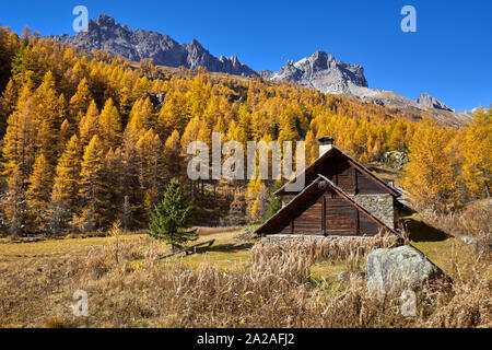 La Claree Valley con colori autunnali di larici e vecchi fienili. Haute Vallée de la Clarée, Névache, Hautes-Alpes, alpi, Francia Foto Stock