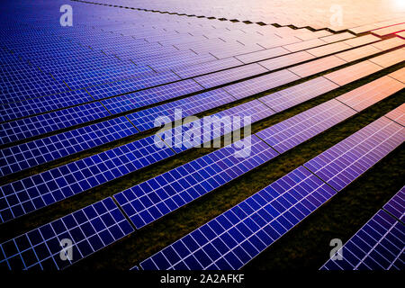Brillanti pannelli solari a sunrise in una moderna azienda agricola solare Foto Stock