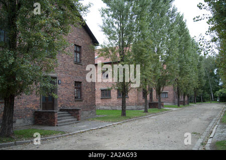 Prigione barrack blocchi ad Auschwitz I campo di concentramento, Oświęcim, Polonia Foto Stock