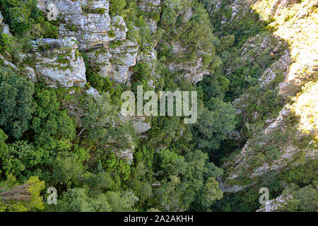 Colline e canyon accanto al ponte di Bloukrans, confine tra Capo orientale e la Western Cape nel Tsitsikamma area della Garden Route del Sud Africa. Foto Stock