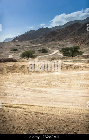 Un percorso che porta oltre gli alberi dal deserto e in montagna Foto Stock