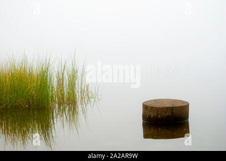 Paesaggio minimalista in autunno nebbiosa mattina sul lago con erba e tronco di albero. Foto Stock