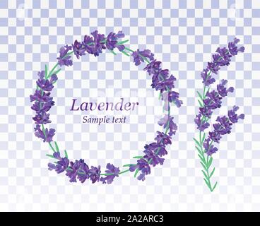 Corona di fiori di lavanda isolato su sfondo trasparente. Mazzetto di bellissimi fiori viola.3D realistici lavanda con copia spazio per il tuo testo. Fragrante Illustrazione Vettoriale