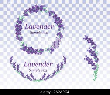 Raccolta corona di fiori di lavanda isolato su sfondo trasparente. Mazzetto di bellissimi fiori viola.3D realistici lavanda con copia spazio per il testo Illustrazione Vettoriale