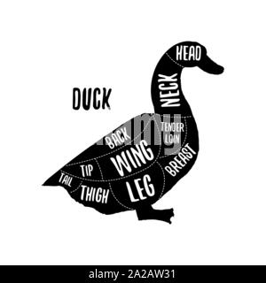 Carne di anatra grafici di taglio illustrazione vettoriale per negozio di macellaio guida. Etichetta per farm design Illustrazione Vettoriale