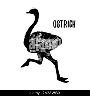 A base di carne di struzzo e grafici di taglio illustrazione vettoriale per negozio di macellaio guida. Etichetta per farm design Illustrazione Vettoriale