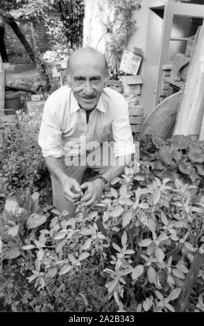 Hans Sachs, ex Procuratore Capo di Norimberga, è andato in pensione e si dedicò al suo hobby e giardino. In Germania, egli divenne noto come un membro del quiz show era "ich bin?' (che cosa sono io?), moderato da Robert Lembke. Egli è stato coinvolto nella mostra da 1955-1989 e insieme con il resto della squadra ha vinto il Golden Award della fotocamera nel 1967.La foto lo mostra mentre si lavora in giardino. Foto Stock