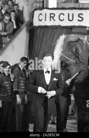 Un programma di un circo è stato tenuto annualmente da celebrità di fronte a un pubblico per lo show televisivo 'Die Goldene Zehn' al Circus Krone di Monaco di Baviera. Foto di Peter Alexander. In background, un elefante. Foto Stock