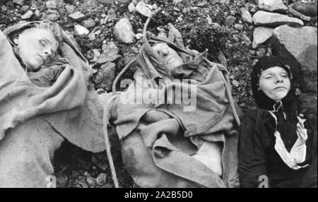 Cinque dei minorenni Gli studenti delle scuole medie sono stati uccisi in un'ascesa del Wiesbachhorn guidato da due Viennese club alpino leader su agosto 10, 1957. Qui i corpi dei defunti gli studenti. Foto Stock