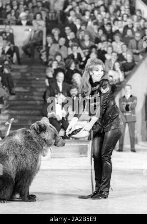 Un programma di un circo è stato tenuto annualmente da celebrità di fronte a un pubblico per lo show televisivo 'Die Goldene Zehn' al Circus Krone di Monaco di Baviera. Foto di un animale mostra con gli orsi. L'identità della donna non è chiara. Foto Stock