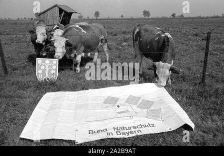 Vi sono state proteste estesa dopo la decisione del governo bavarese nel 1969 per costruire il nuovo aeroporto di Monaco di Baviera di Erdinger Moos. Per esempio, un appezzamento di terra che è necessaria per il nuovo aeroporto è stato trasferito al 'Bund Naturschutz in Bayern". La foto mostra le mappe della nuova riserva naturale. Foto Stock