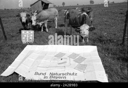 Vi sono state proteste estesa dopo la decisione del governo bavarese nel 1969 per costruire il nuovo aeroporto di Monaco di Baviera di Erdinger Moos. Per esempio, un appezzamento di terra che è necessaria per il nuovo aeroporto è stato trasferito al 'Bund Naturschutz in Bayern". La foto mostra le mappe della nuova riserva naturale. Foto Stock