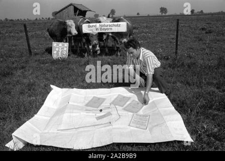 Vi sono state proteste estesa dopo la decisione del governo bavarese nel 1969 per costruire il nuovo aeroporto di Monaco di Baviera di Erdinger Moos. Per esempio, un appezzamento di terra che è necessaria per il nuovo aeroporto è stato trasferito al 'Bund Naturschutz in Bayern". La foto mostra le mappe della nuova riserva naturale. Foto Stock