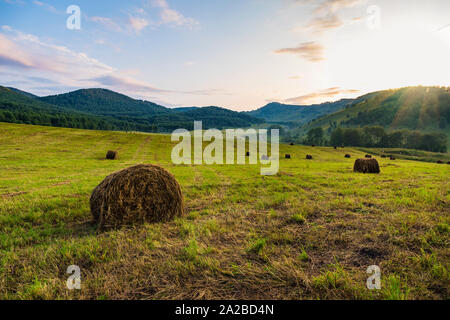 Haystacks sul campo vuoto dopo la raccolta illuminato dalla luce calda del sole al tramonto. Regione degli Altai, Russia. In autunno la raccolta nei campi. Gol Foto Stock