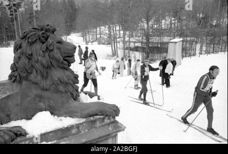 I partecipanti del cross-country concorrenza "Koenig-Ludwig-Lauf' dal Ettal a Oberammergau. Il percorso conduce anche - come mostrato qui - attraverso il parco di Linderhof Palace. Foto Stock