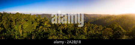 Vista aerea di sunrise cerca su una densa foresta pluviale Foto Stock