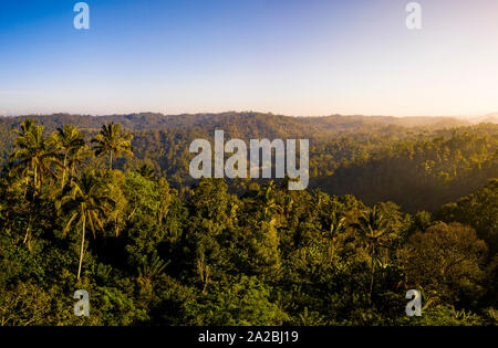 Vista aerea di sunrise cerca su una densa foresta pluviale Foto Stock