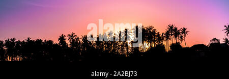 Vivace alba sulle palme su una costa tropicale Foto Stock