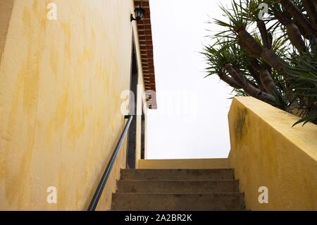 Le scale di un edificio giallo con piante tropicali (Madeira, Portogallo) Foto Stock