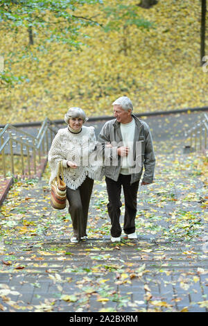 Ritratto di felice coppia senior passeggiate nel parco di autunno Foto Stock