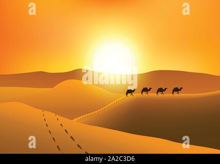 Marcher silhouette di cammelli nel deserto al tramonto. Illustrazione Vettoriale