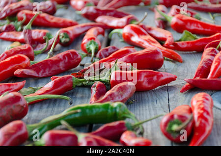 Materie organiche ROSSO PEPERONCINO peperoni essiccati su una tavola di legno. Foto con profondità di campo ridotta. Foto Stock