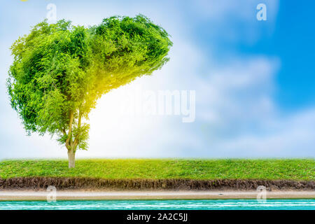 Realistiche le immagini di fegato umano sono albero verde forme circa le malattie e la cirrosi (ambiente). Foto Stock