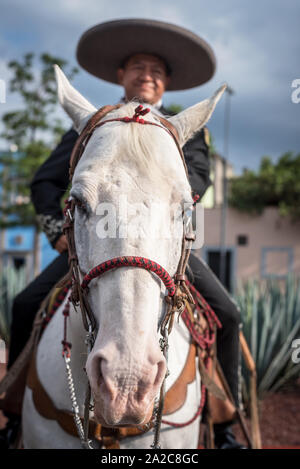 Luglio, 23, 2019: Un mariachi passeggiate a cavallo in Piazza Garibaldi, Ciudad de Mexico, Messico Foto Stock