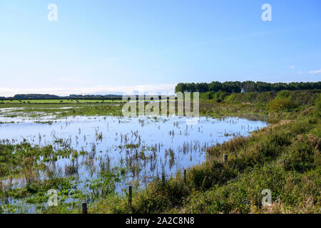 Acqua di inondazione sommergendo un agricoltore del campo in Lancashire, Regno Unito Foto Stock