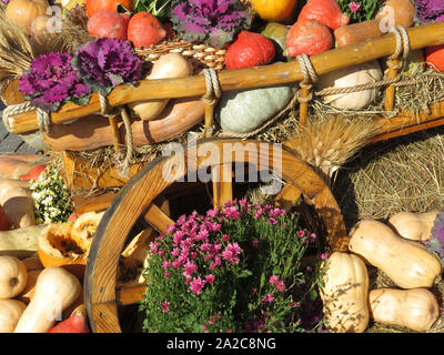 La Giornata del ringraziamento, carrello di legno con zucche e verdure su un fieno. Autumn harvest vacanza festosa decorazioni con fiori Foto Stock