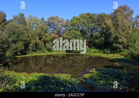 Il Cratere Spanbroekmolen (aka Pool di pace aka Lone Tree cratere), un promemoria del grande la mia battaglia di giugno 1917 in Wyschaete, Belgio Foto Stock