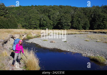 Femmina tailandese backpacker. Te Araroa Trail. Isola del Sud. Nuova Zelanda Foto Stock