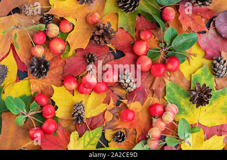 L'autunno. Composizione di autunno con foglie, paradiso mele e pigne. Foto Stock