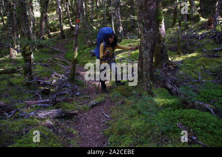 Femmina tailandese backpacker. Te Araroa Trail. Isola del Sud. Nuova Zelanda Foto Stock
