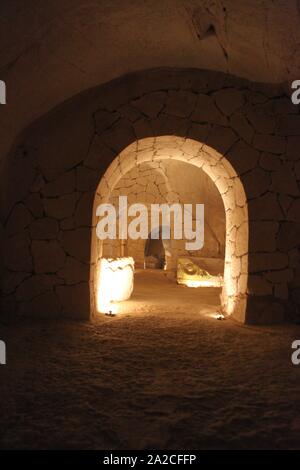 Bellissimo uccello del paradiso fiore Strelitzia reginae isolato in sfondo verde, Puerto De La Cruz Tenerife Foto Stock