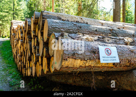 Pile di alberi abbattuti, registri con tenere spento segno, nelle Dolomiti italiane, Canazei, Italia Foto Stock