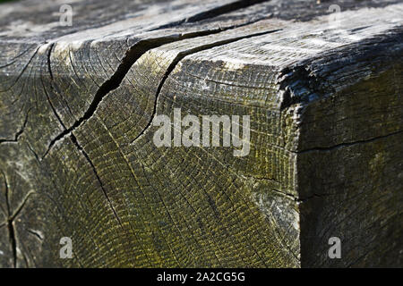 In prossimità di un angolo di una vecchia panca di legno Foto Stock