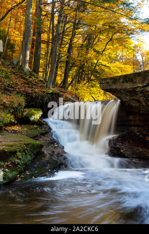 Cadono le foglie decorare alberi durante la stagione autunnale al di sopra di una cascata lungo Crum Creek. Kennedy Dells County Park, New York Foto Stock