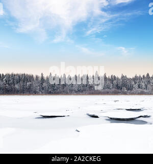 Paesaggio invernale con la foresta costiera sul lago ghiacciato a freddo giorno. La Carelia, la Russia. Square foto di sfondo Foto Stock