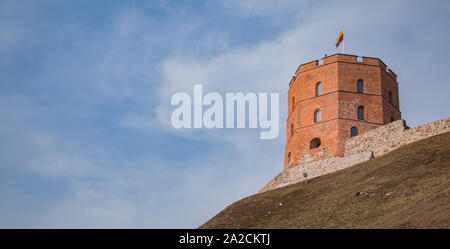 Una foto della torre di Gediminas a Vilnius. Foto Stock