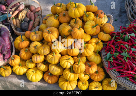 Autunno organici produrre su un tavolo sul display a Daylesford autunno mostra. Cotswolds, Gloucestershire, Inghilterra Foto Stock