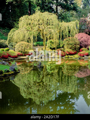 Laghetto superiore nel passeggiare stagno giardino, Giardino Giapponese, Portland, Oregon, Stati Uniti d'America Foto Stock