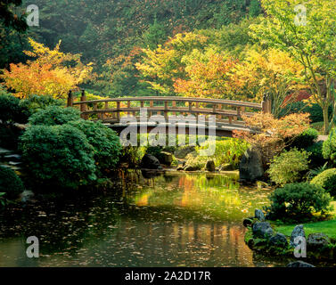 Ponte della Luna in autunno, il Giardino Giapponese, Portland, Oregon, Stati Uniti d'America Foto Stock