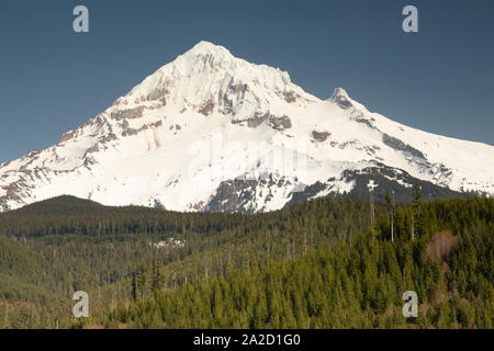 Vista del Monte Shasta, Siskiyou County, California, Stati Uniti d'America Foto Stock